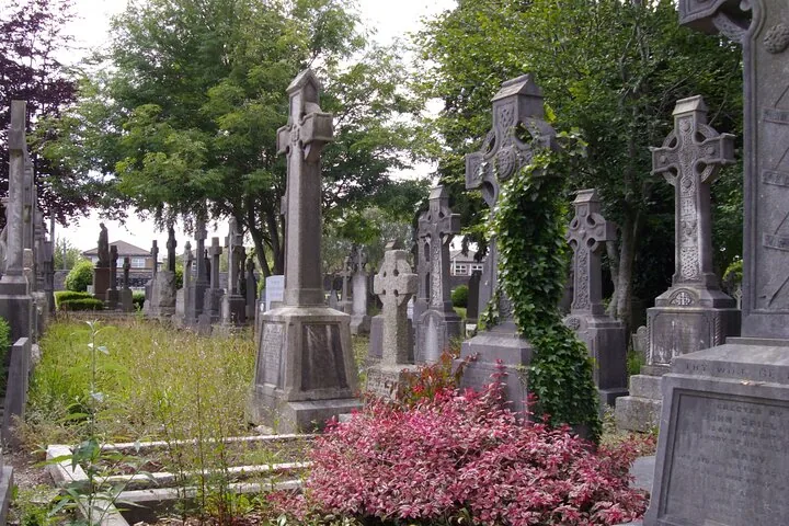 Celtic crosses and other gravestones among bushes in a cemetery